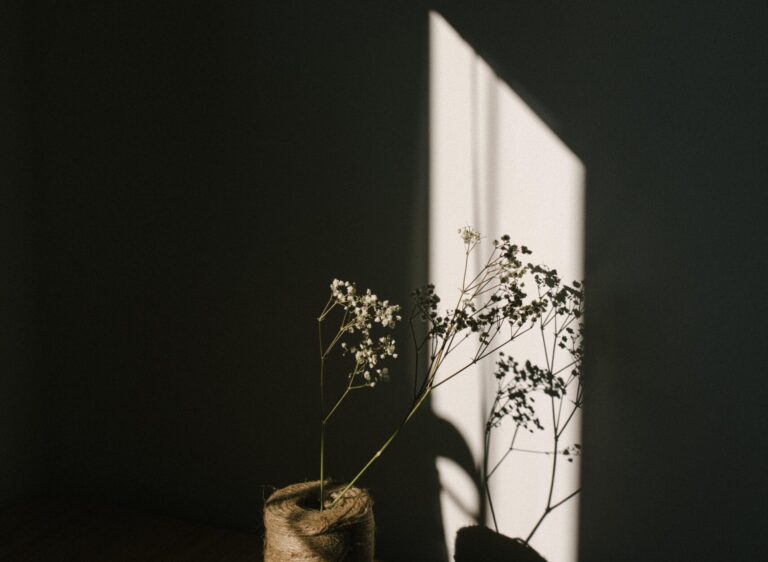 C’est quoi la naturopathie?